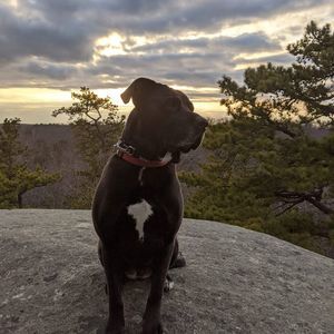 Meet your Posher, Wendy